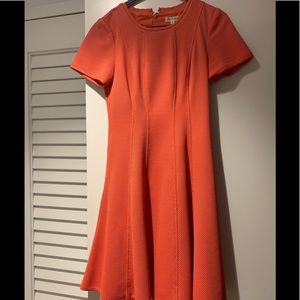 Beautiful fit and flare dress